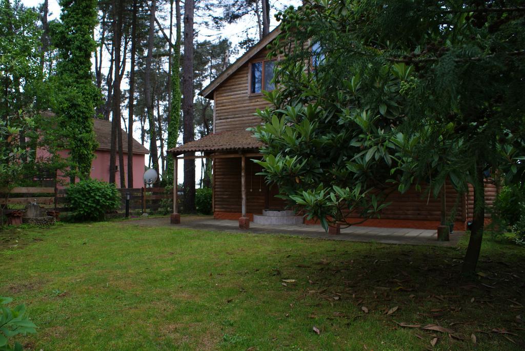 Green Cottage Shekvetili Ureki Εξωτερικό φωτογραφία