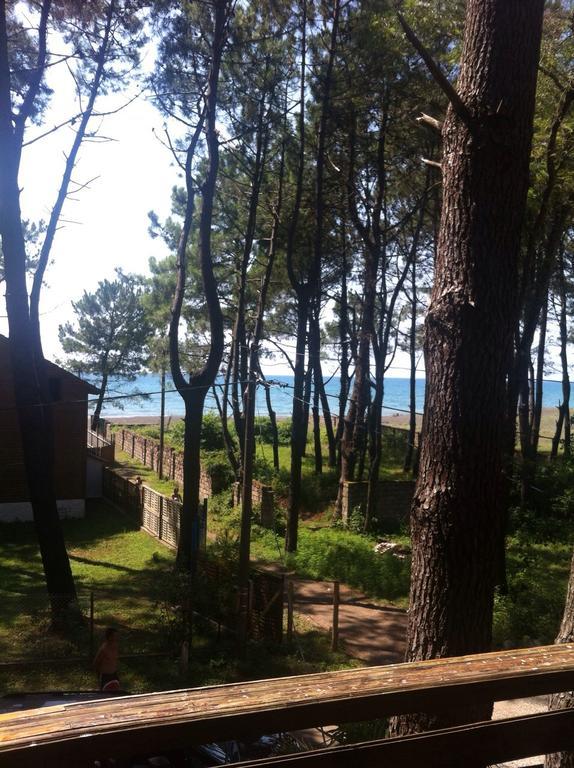Green Cottage Shekvetili Ureki Εξωτερικό φωτογραφία