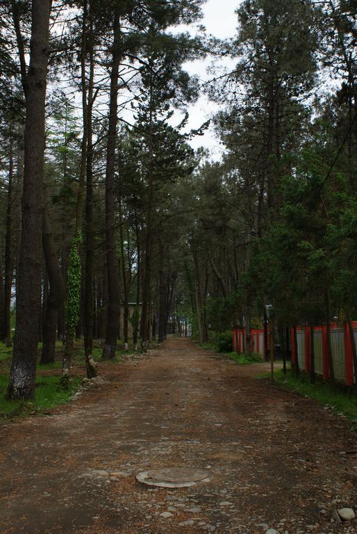 Green Cottage Shekvetili Ureki Εξωτερικό φωτογραφία