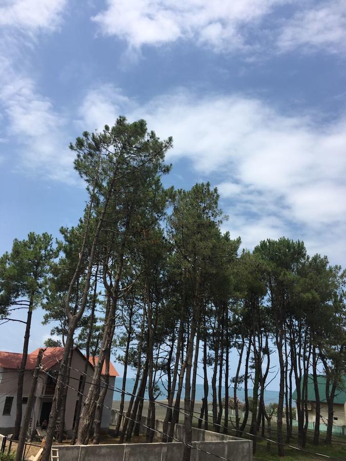 Green Cottage Shekvetili Ureki Εξωτερικό φωτογραφία