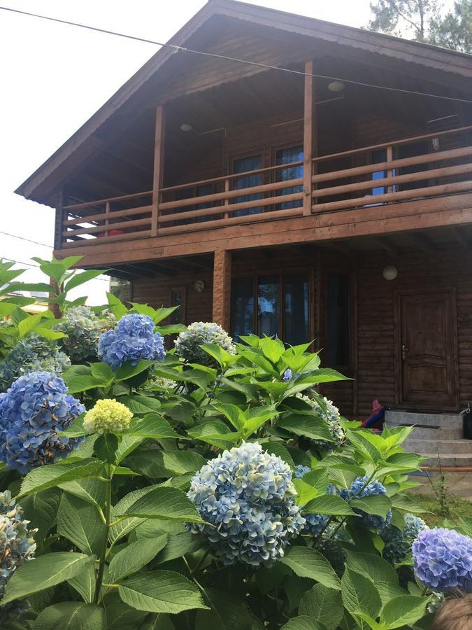 Green Cottage Shekvetili Ureki Εξωτερικό φωτογραφία
